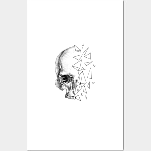 Abstract Skull Posters and Art